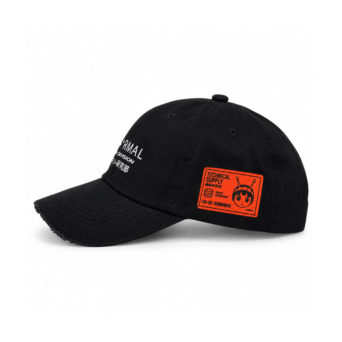 Research Division Cap